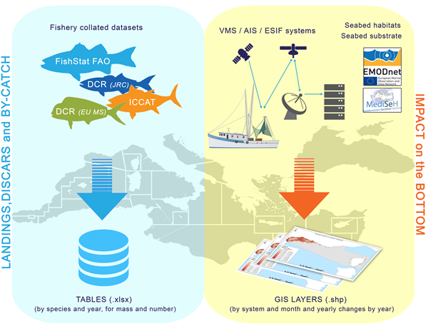 Fishery Management | European Marine Observation and Data Network (EMODnet)